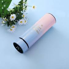 Temperature Bottle For Coffee & Tea